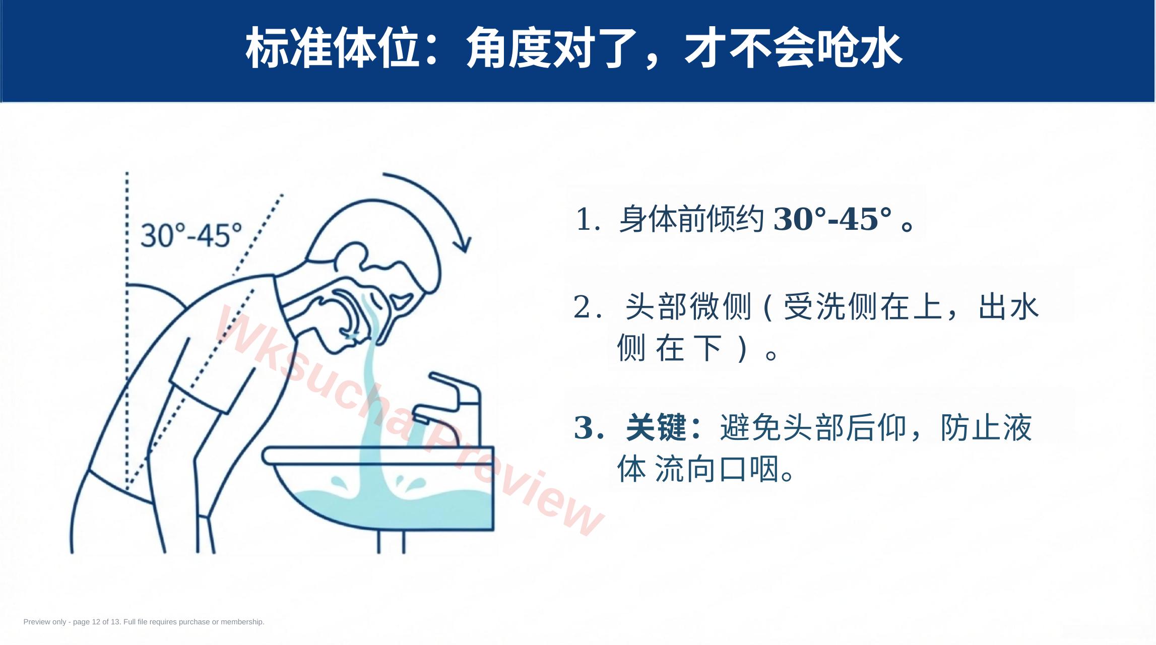 预览第 12 页