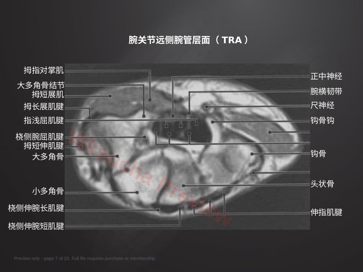 预览第 7 页