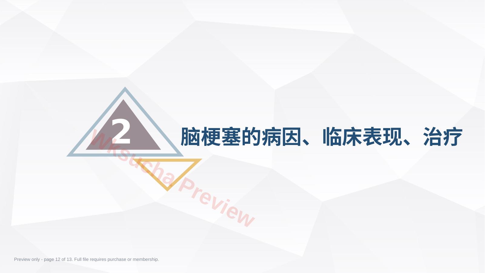 预览第 12 页
