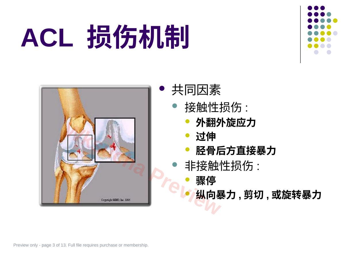 预览第 3 页