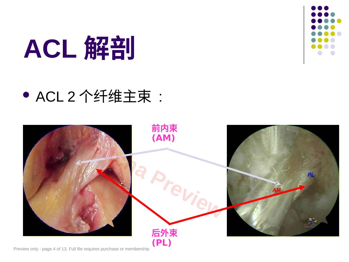 预览第 4 页