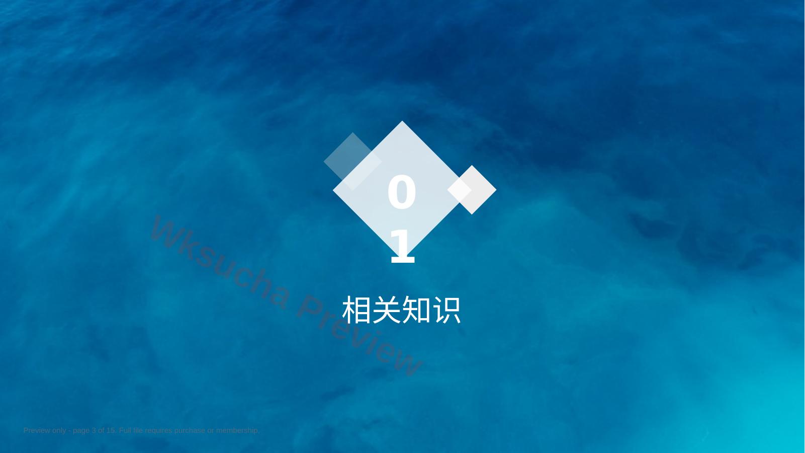 预览第 3 页