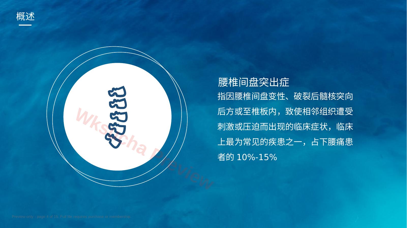 预览第 4 页