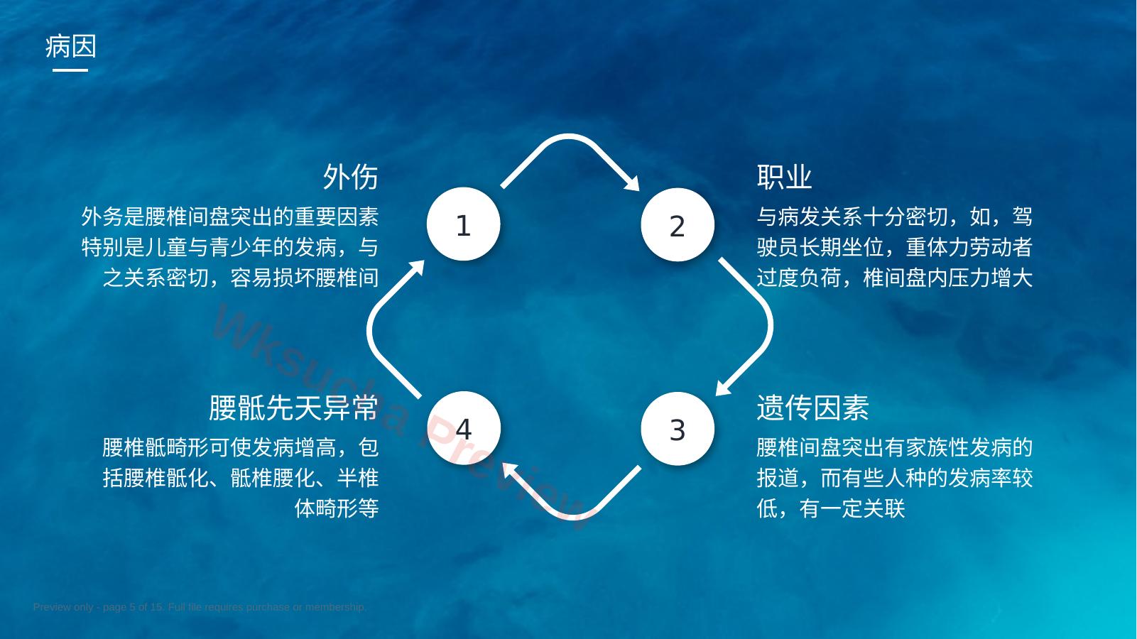 预览第 5 页