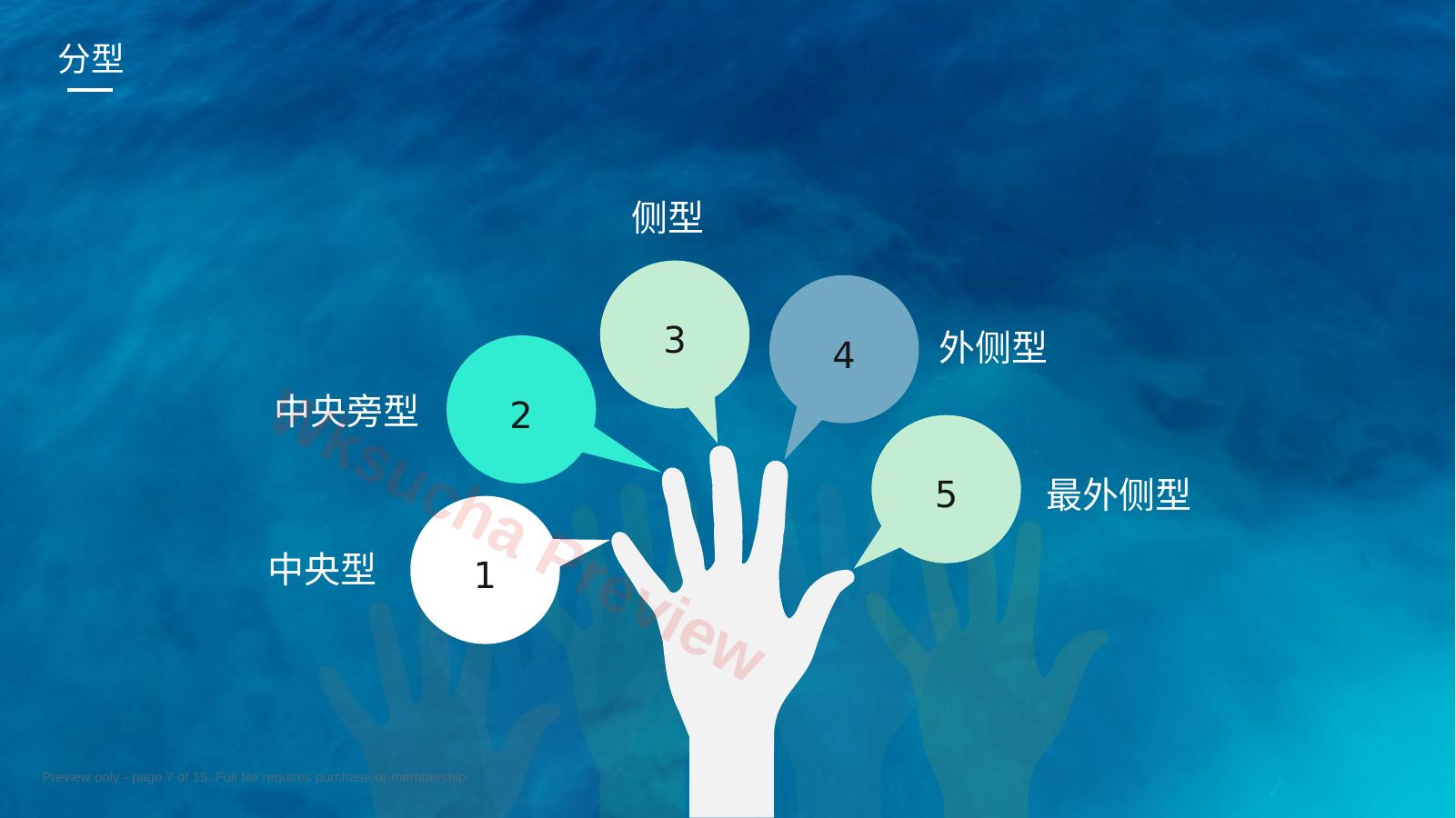 预览第 7 页