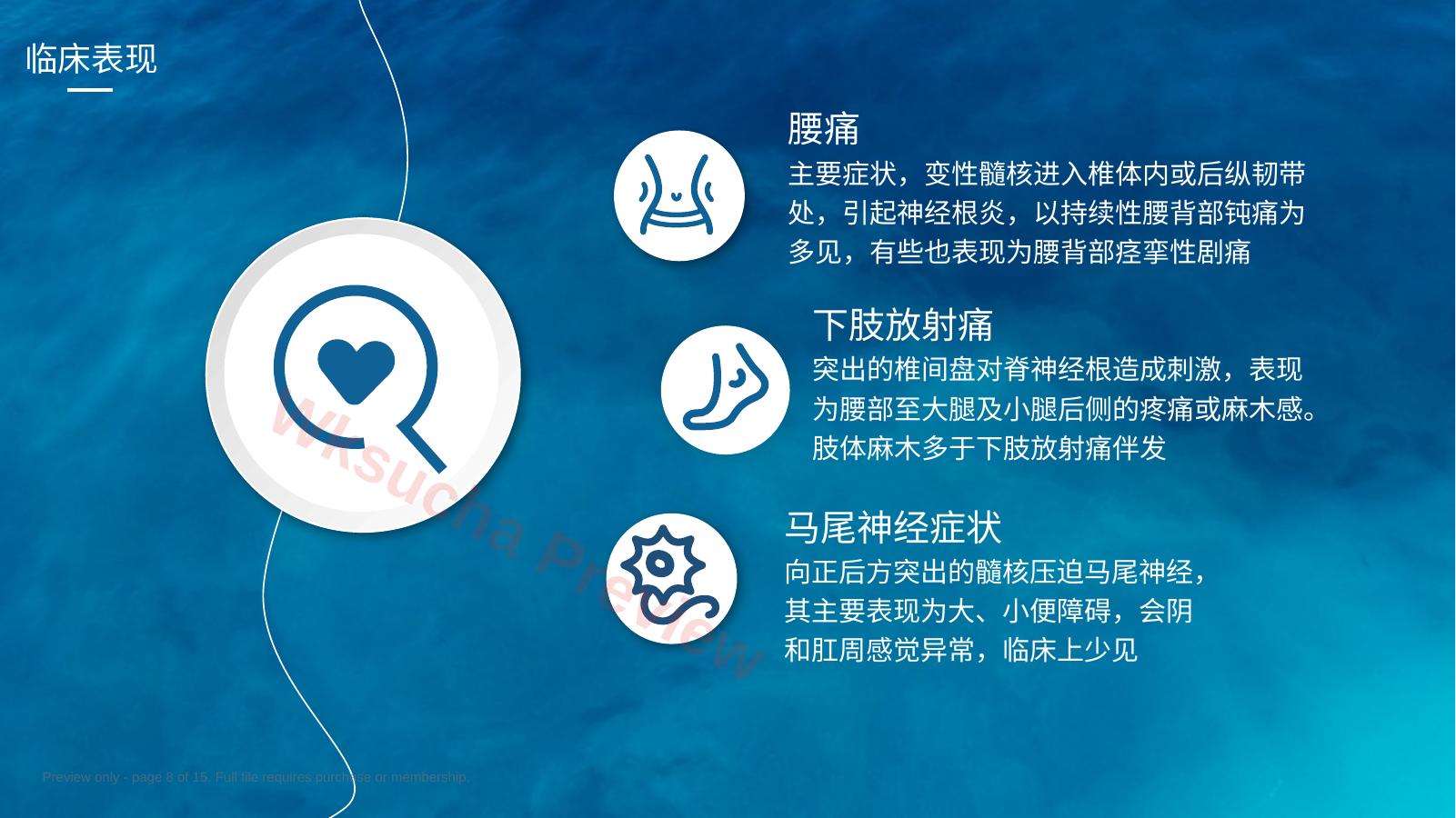 预览第 8 页