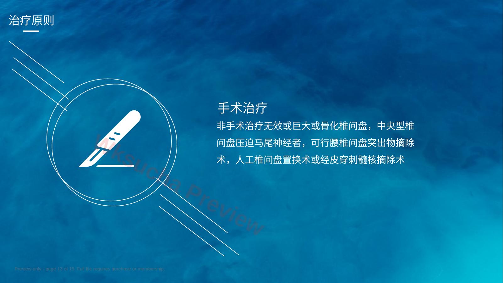 预览第 13 页