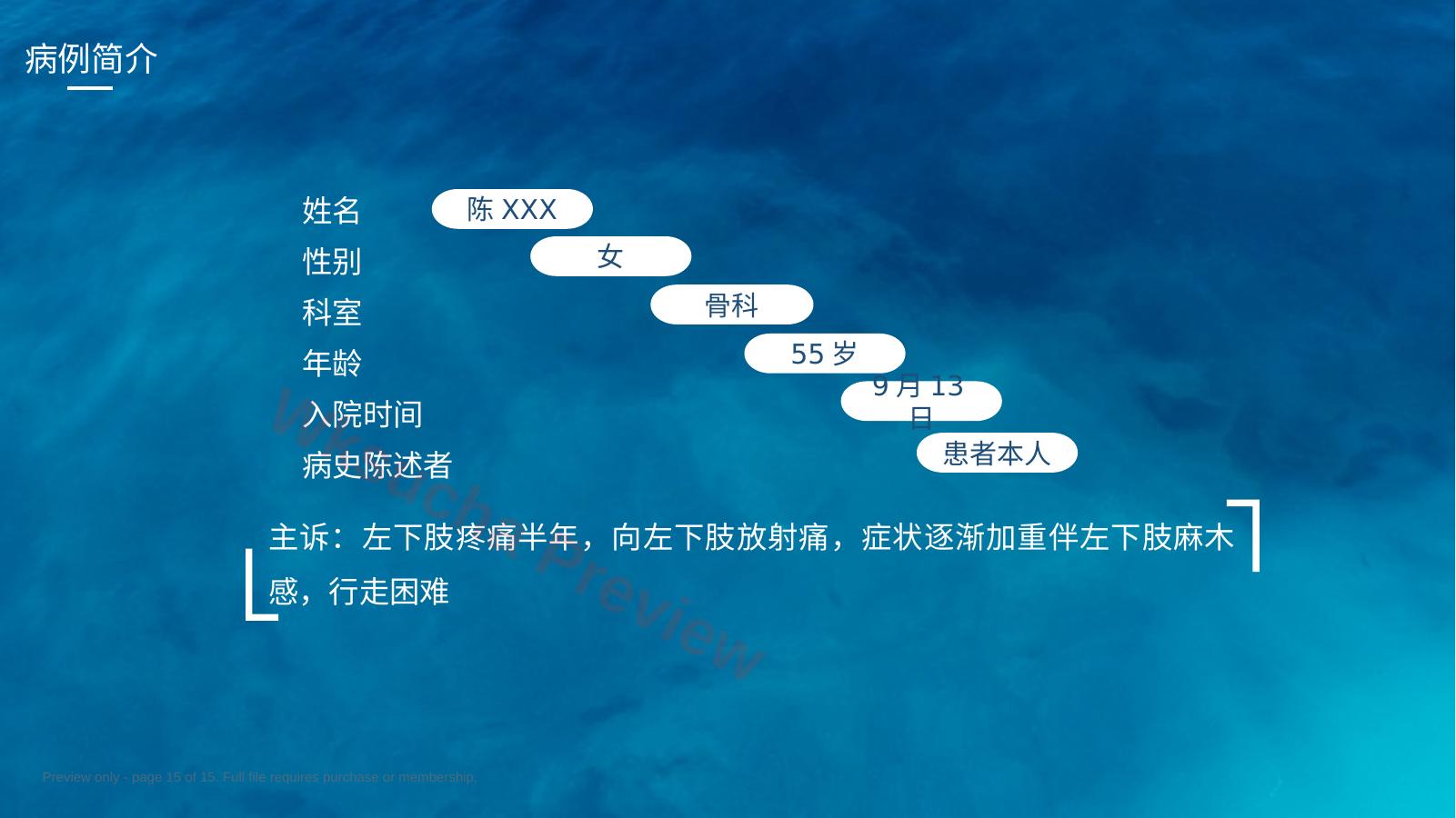 预览第 15 页