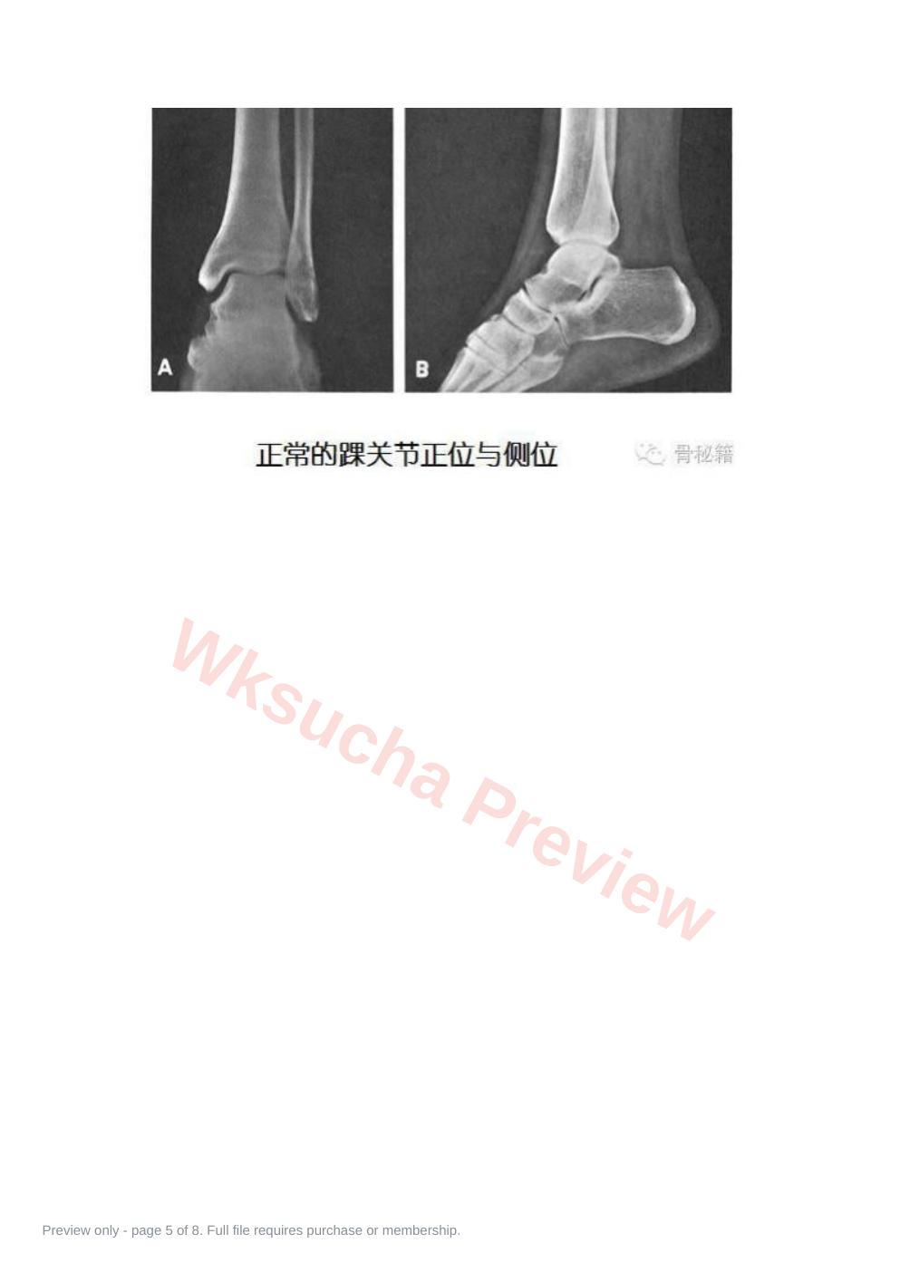 预览第 5 页
