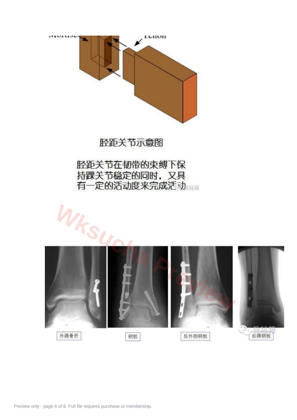 预览第 6 页