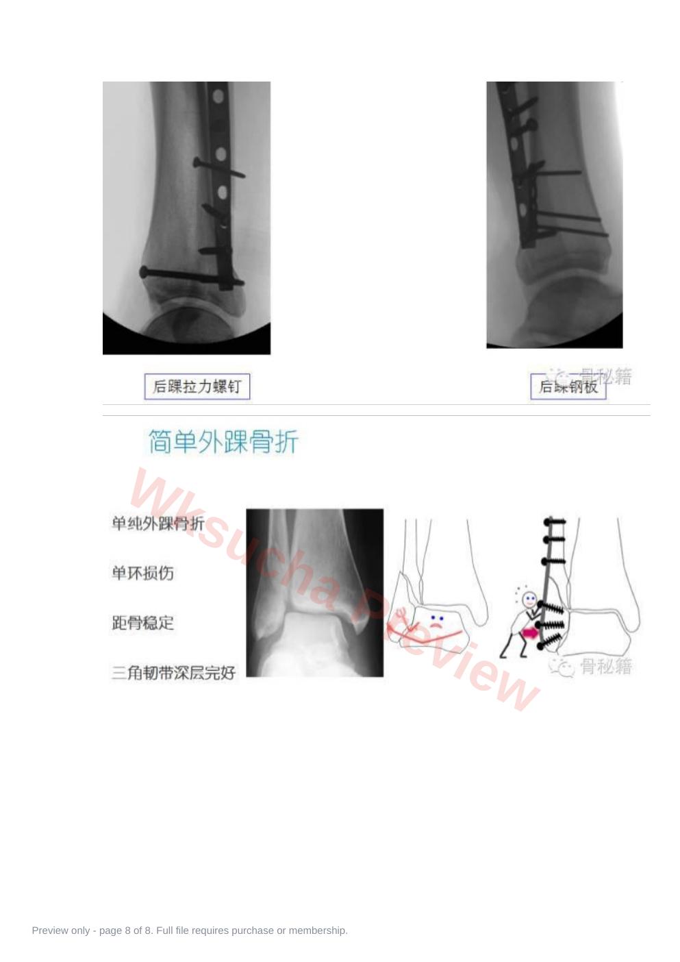 预览第 8 页