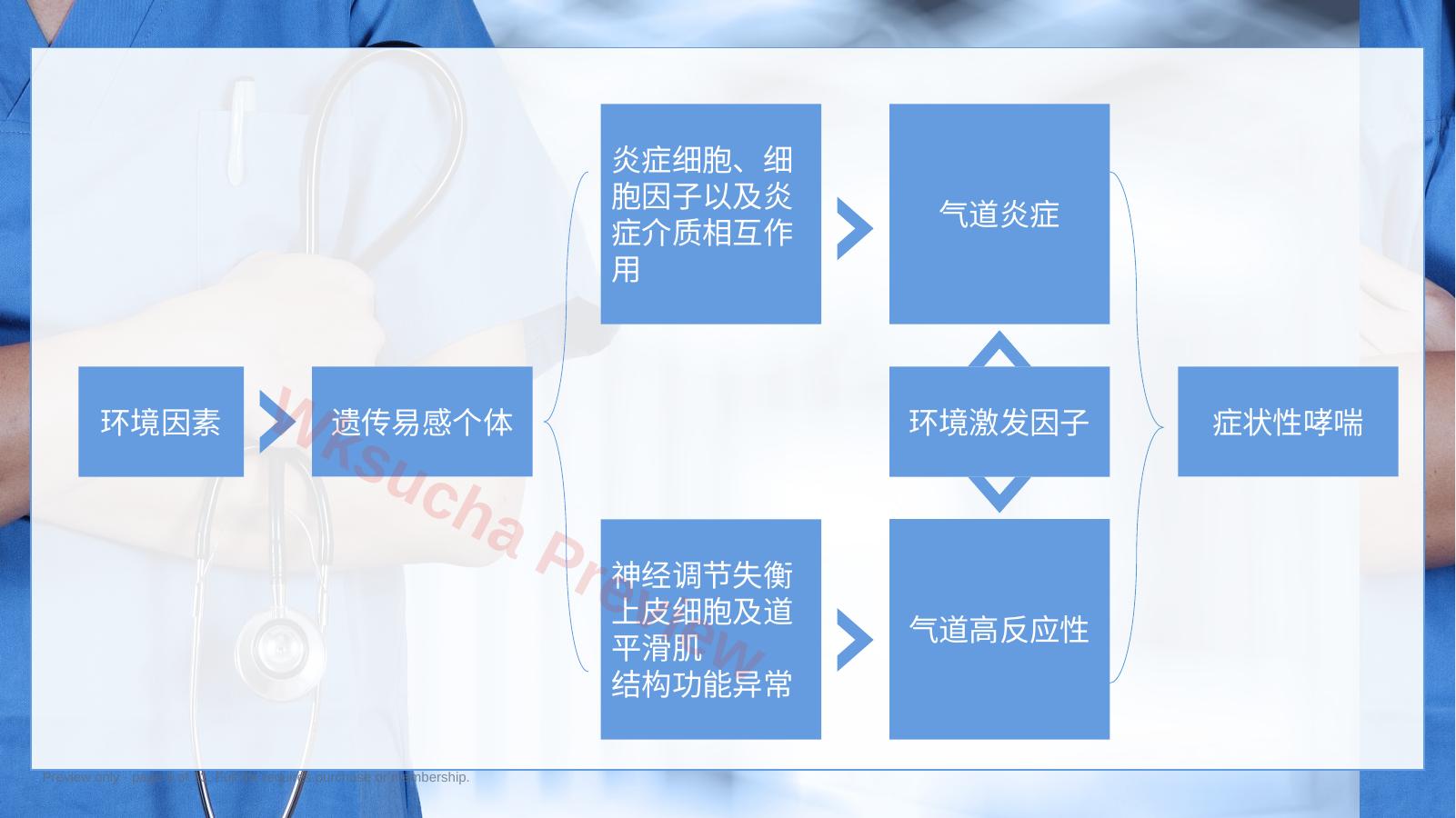 预览第 4 页