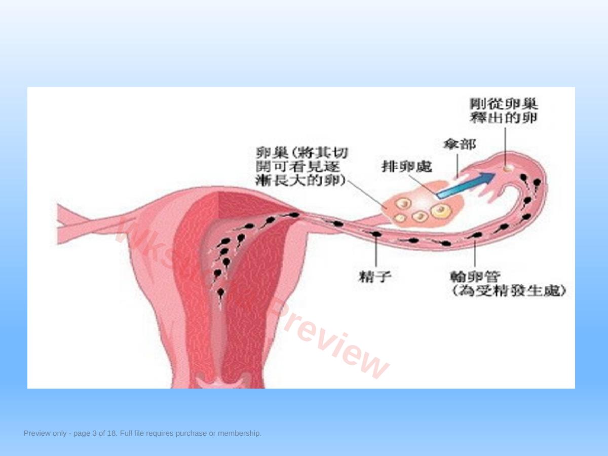 预览第 3 页