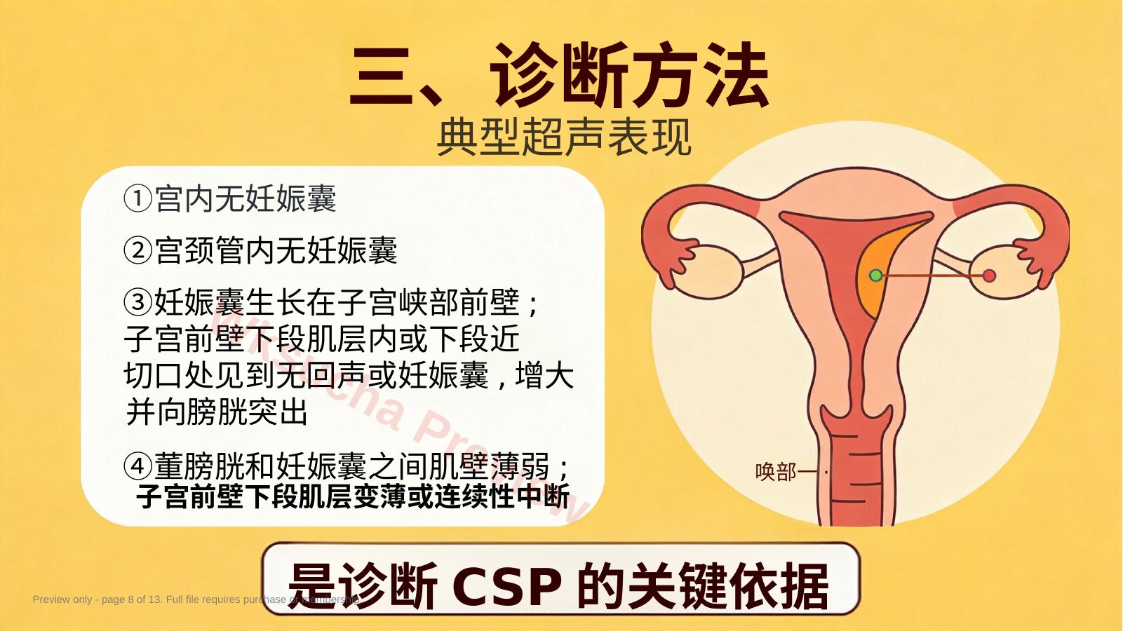 预览第 8 页