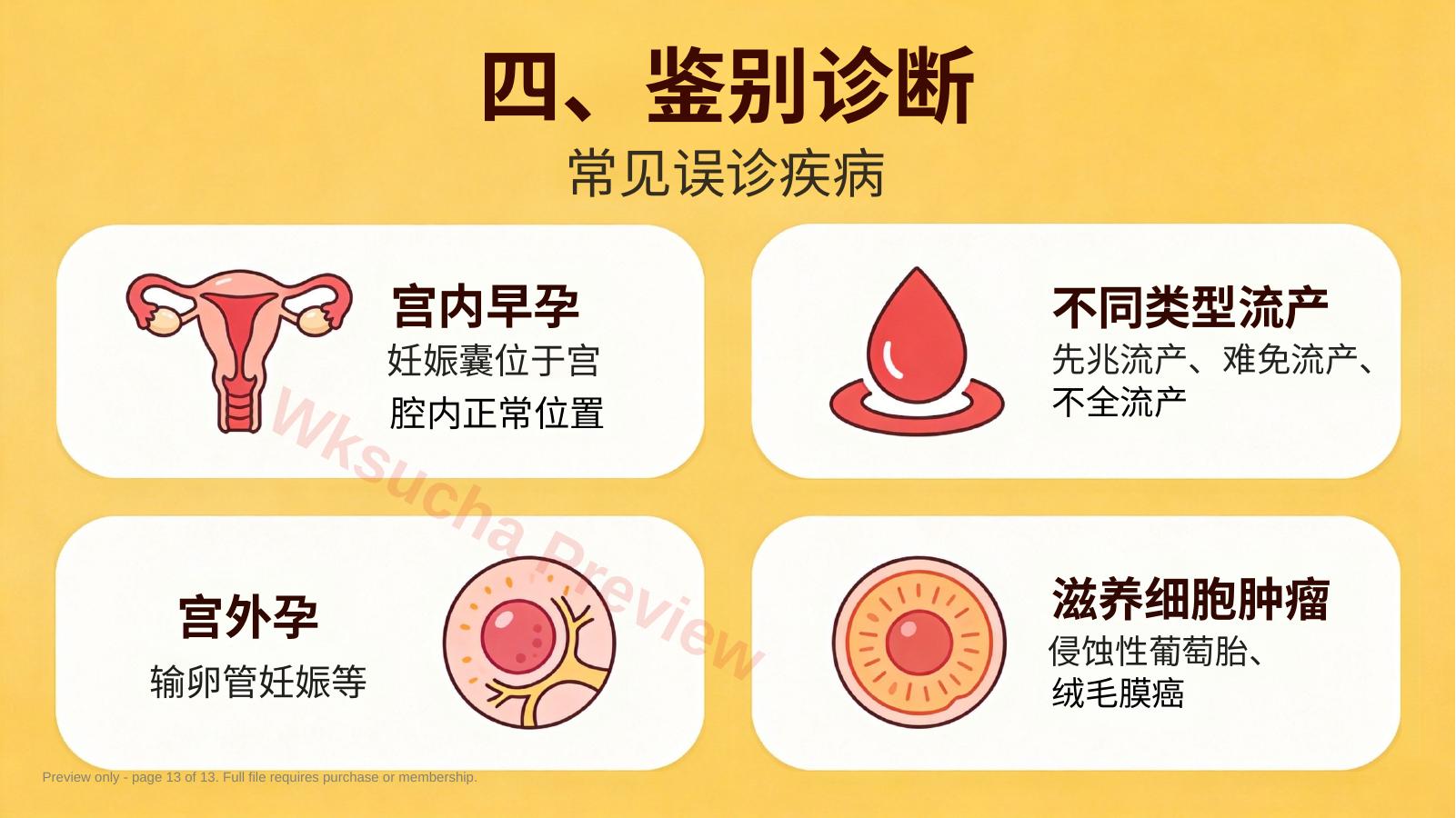 预览第 13 页