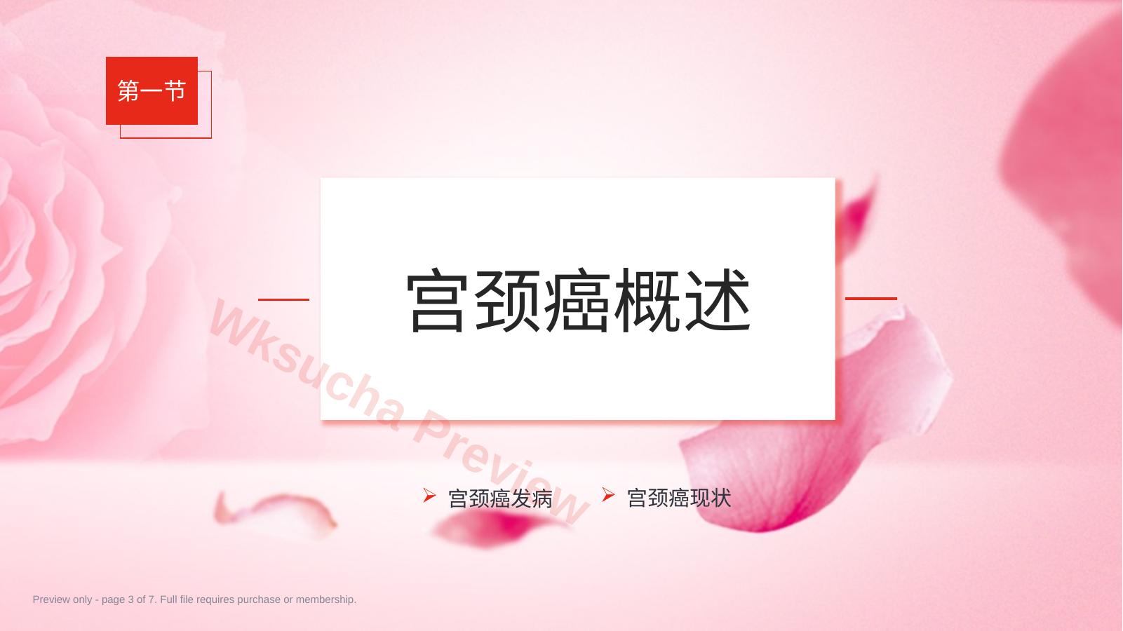 预览第 3 页