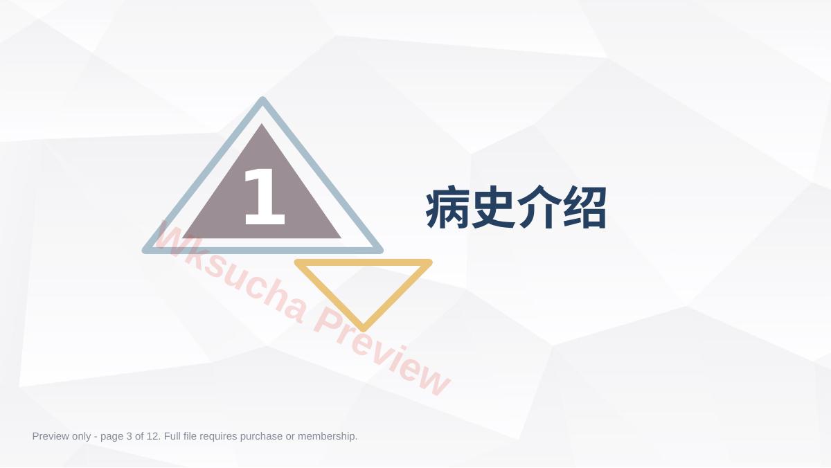 预览第 3 页