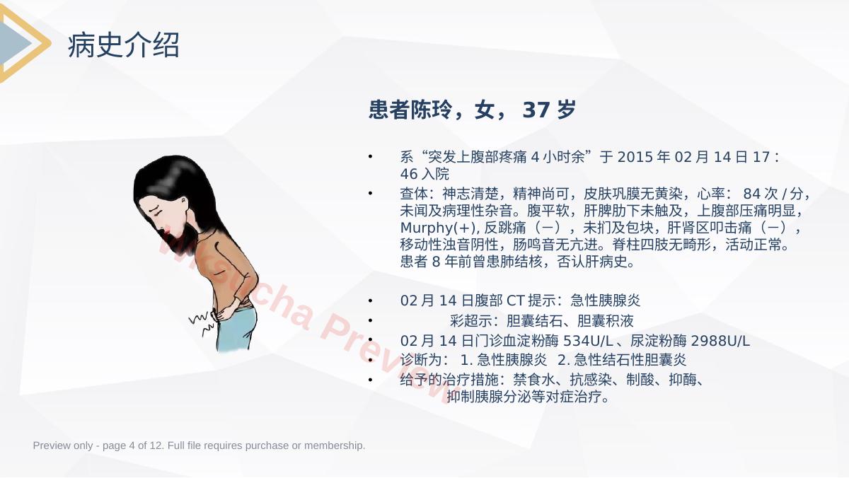 预览第 4 页