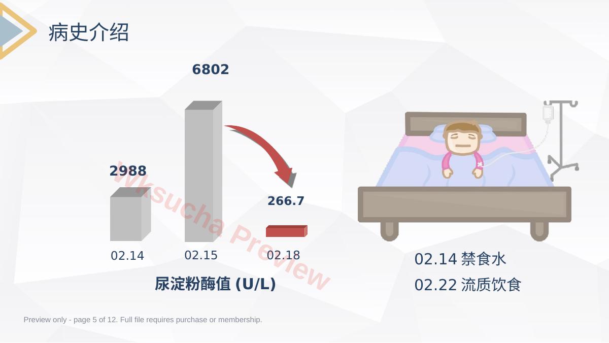 预览第 5 页
