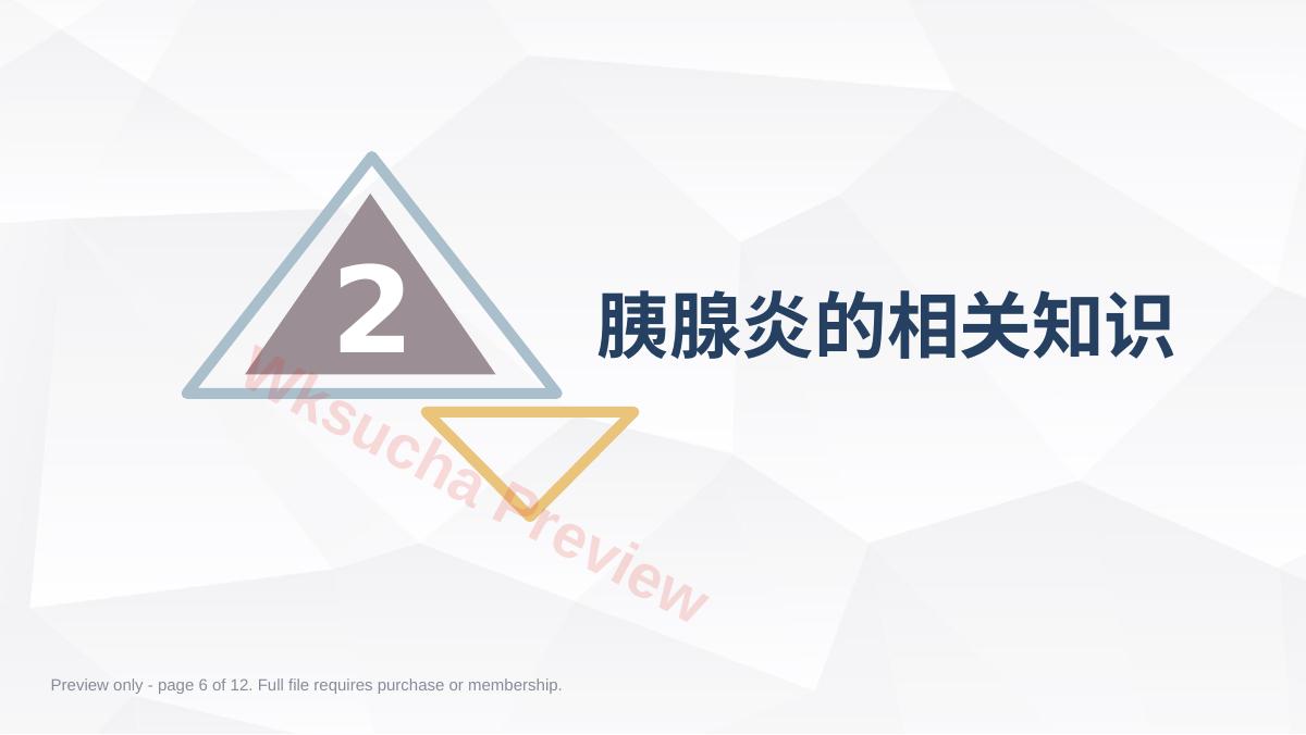 预览第 6 页