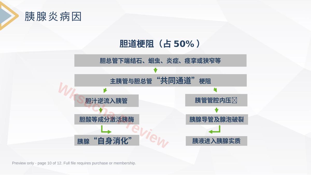 预览第 10 页