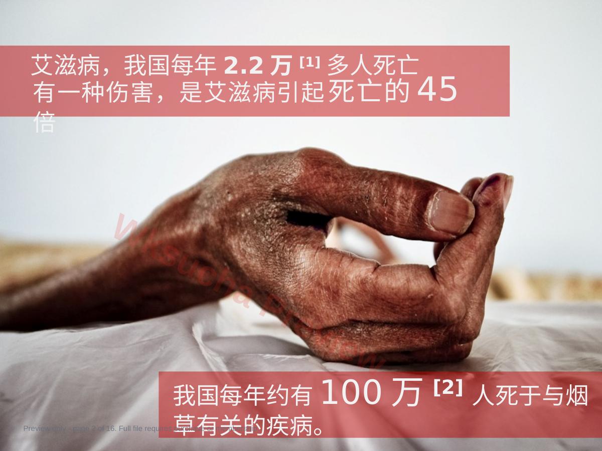 预览第 2 页
