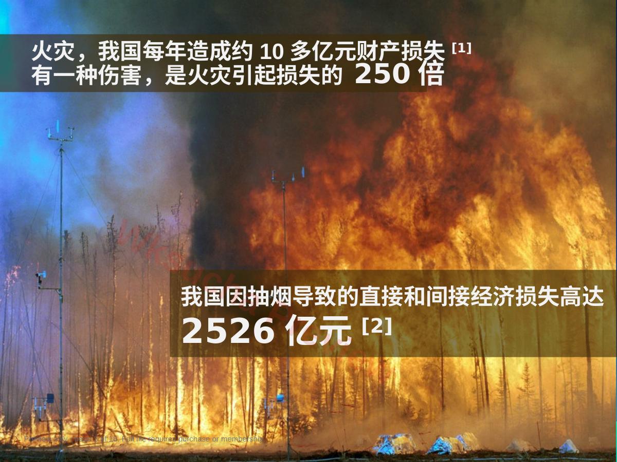 预览第 3 页