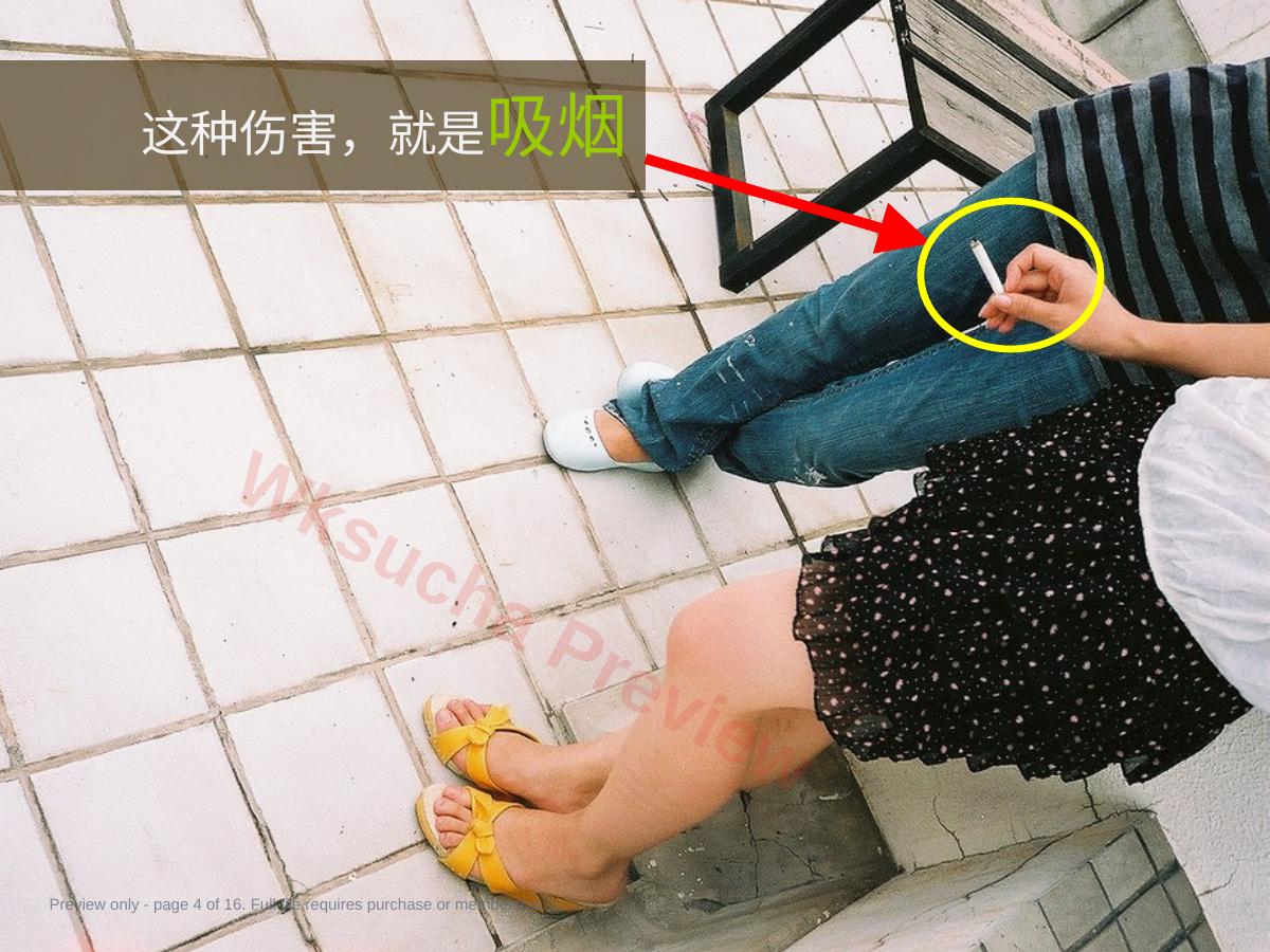 预览第 4 页