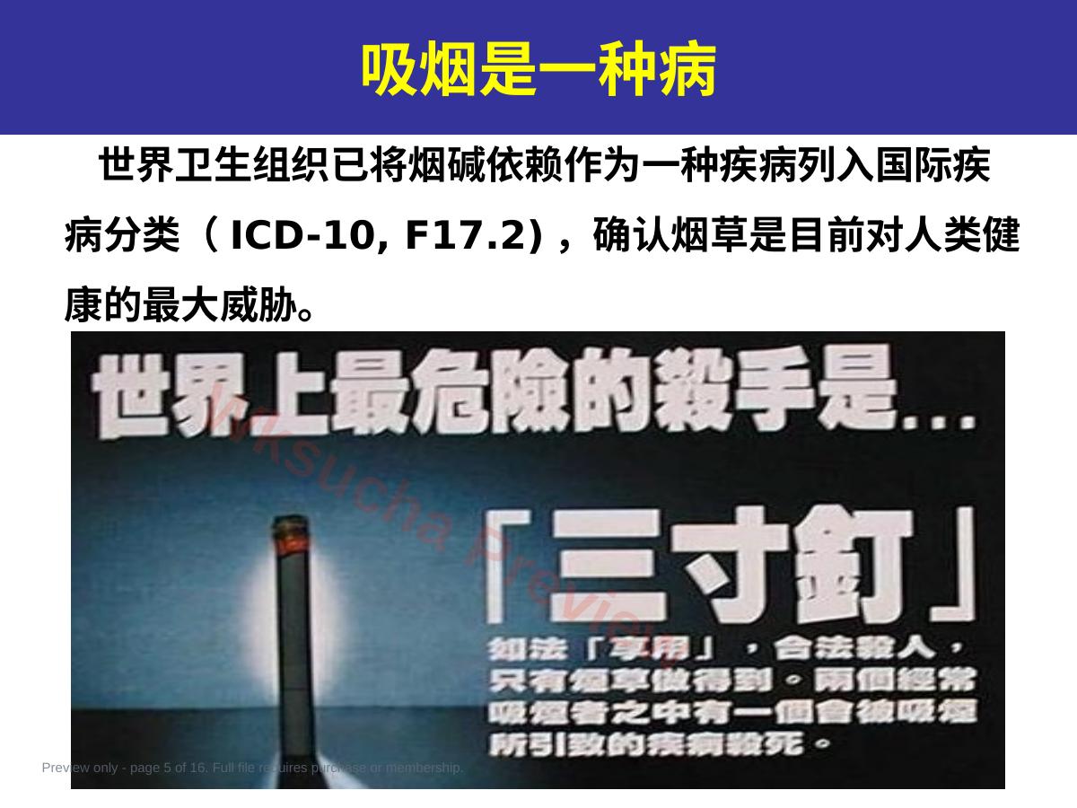 预览第 5 页