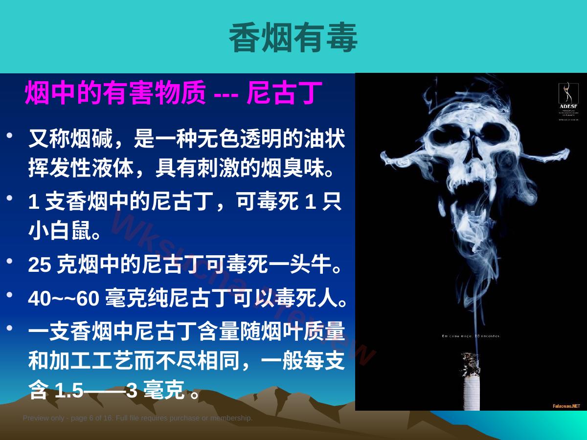 预览第 6 页