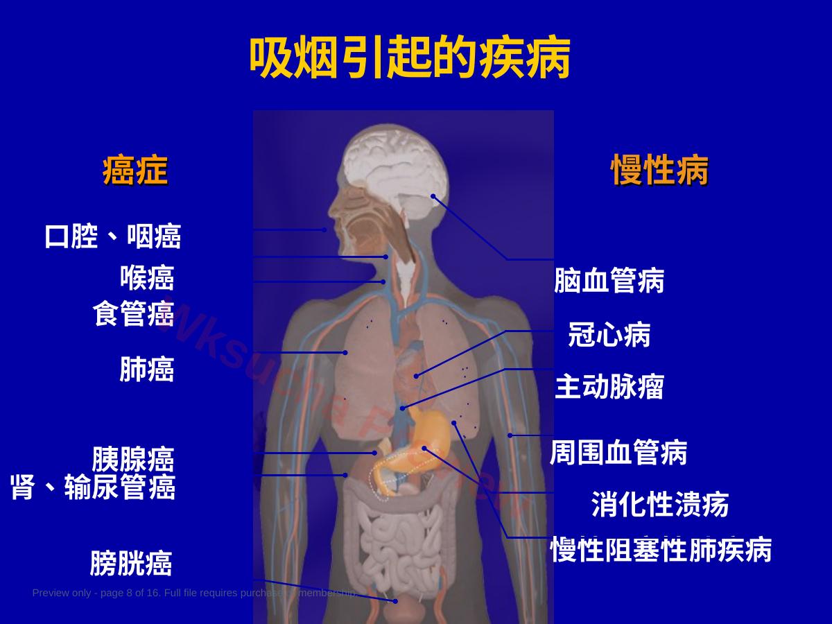 预览第 8 页