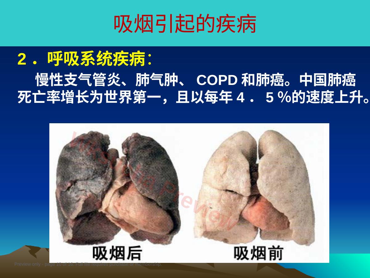预览第 10 页