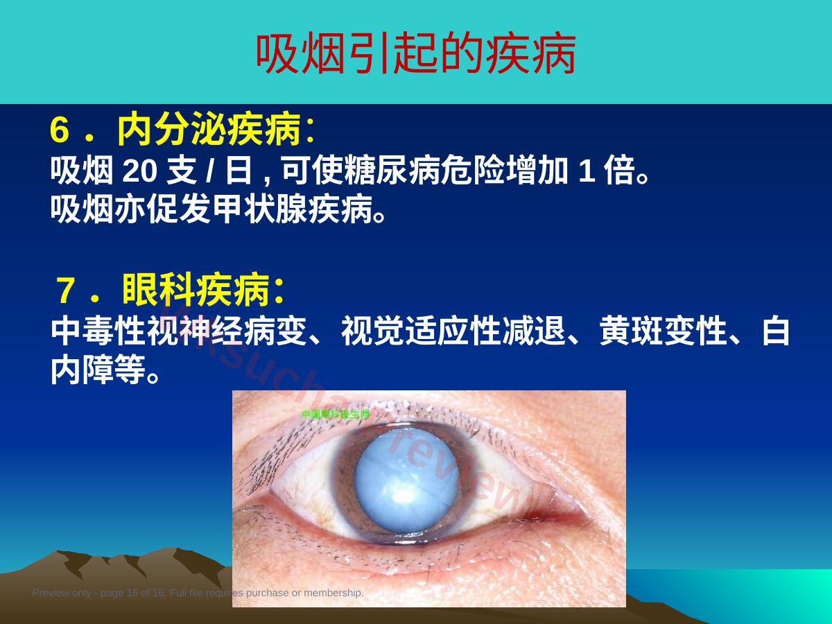 预览第 16 页