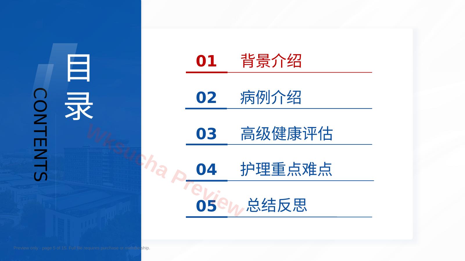预览第 5 页