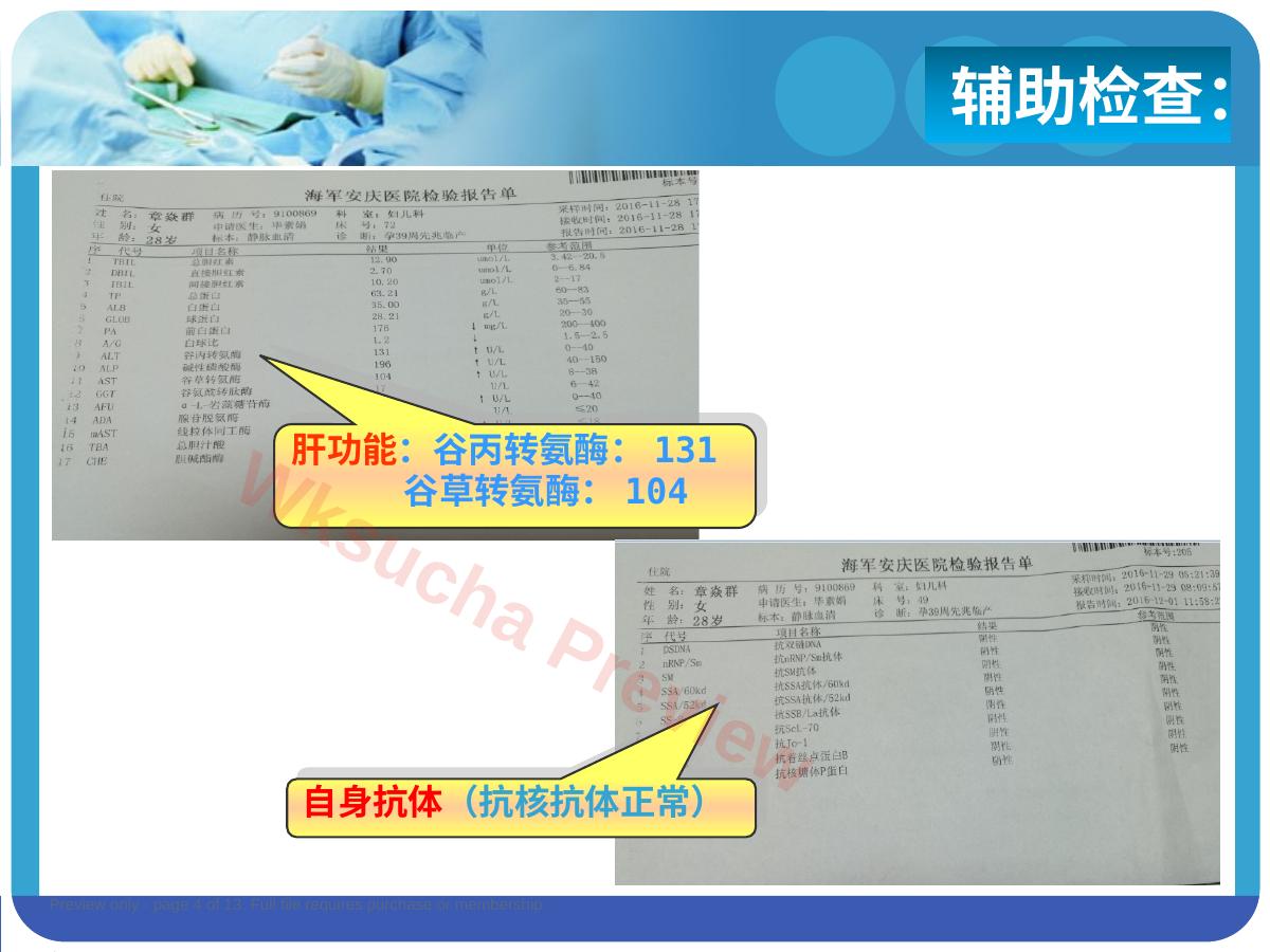 预览第 4 页