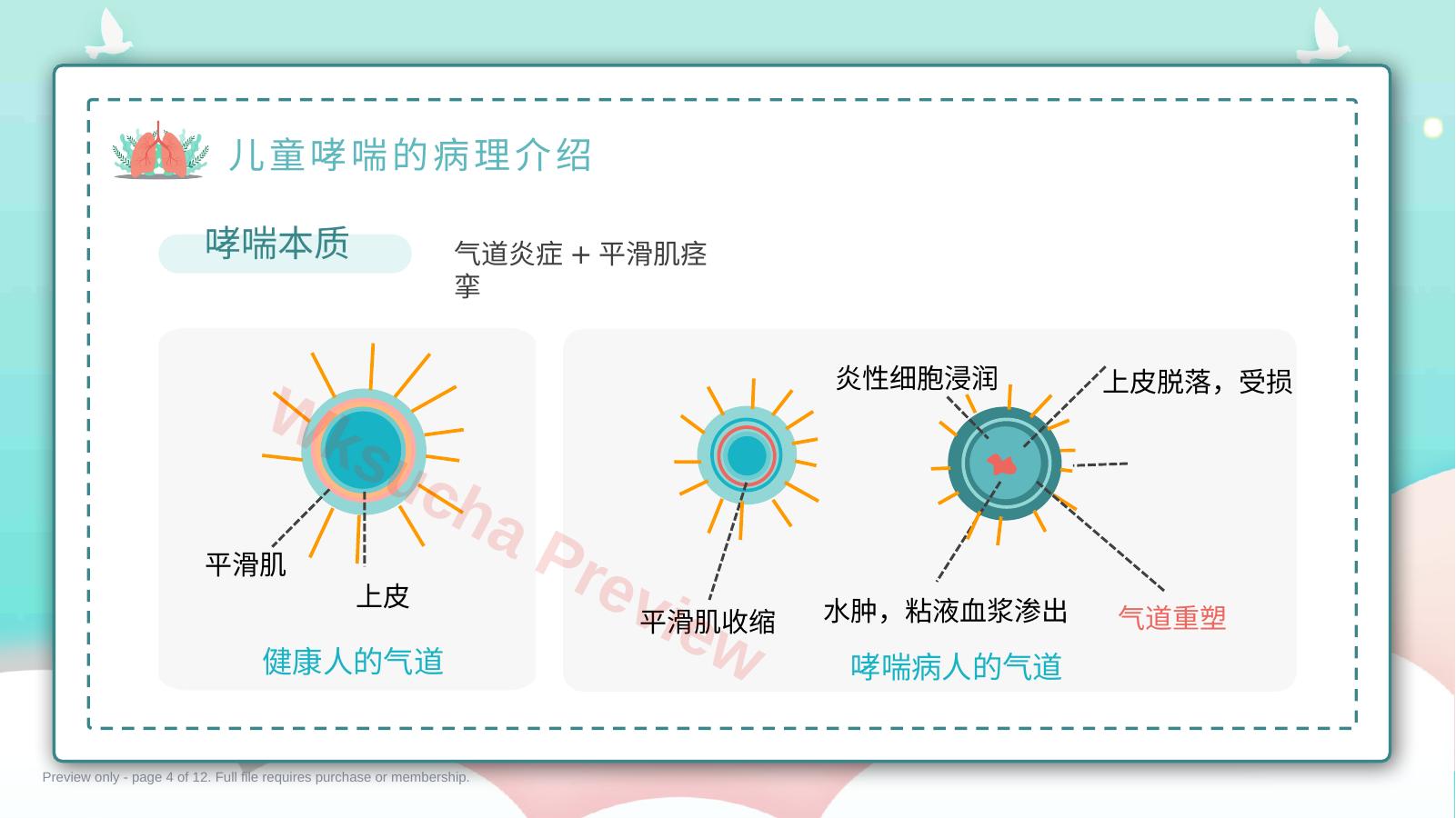预览第 4 页