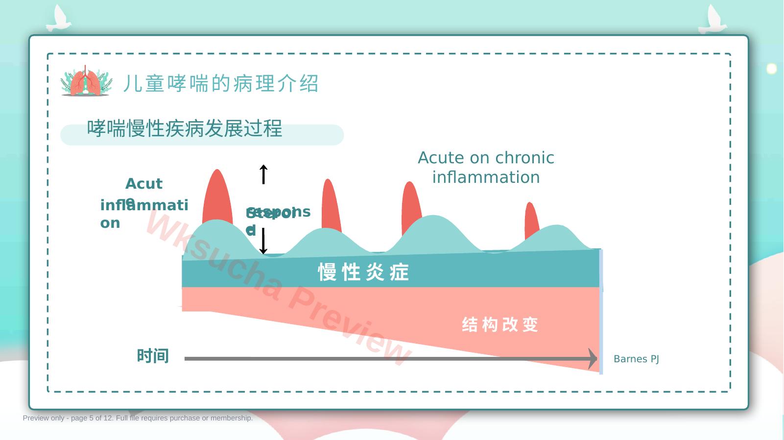 预览第 5 页
