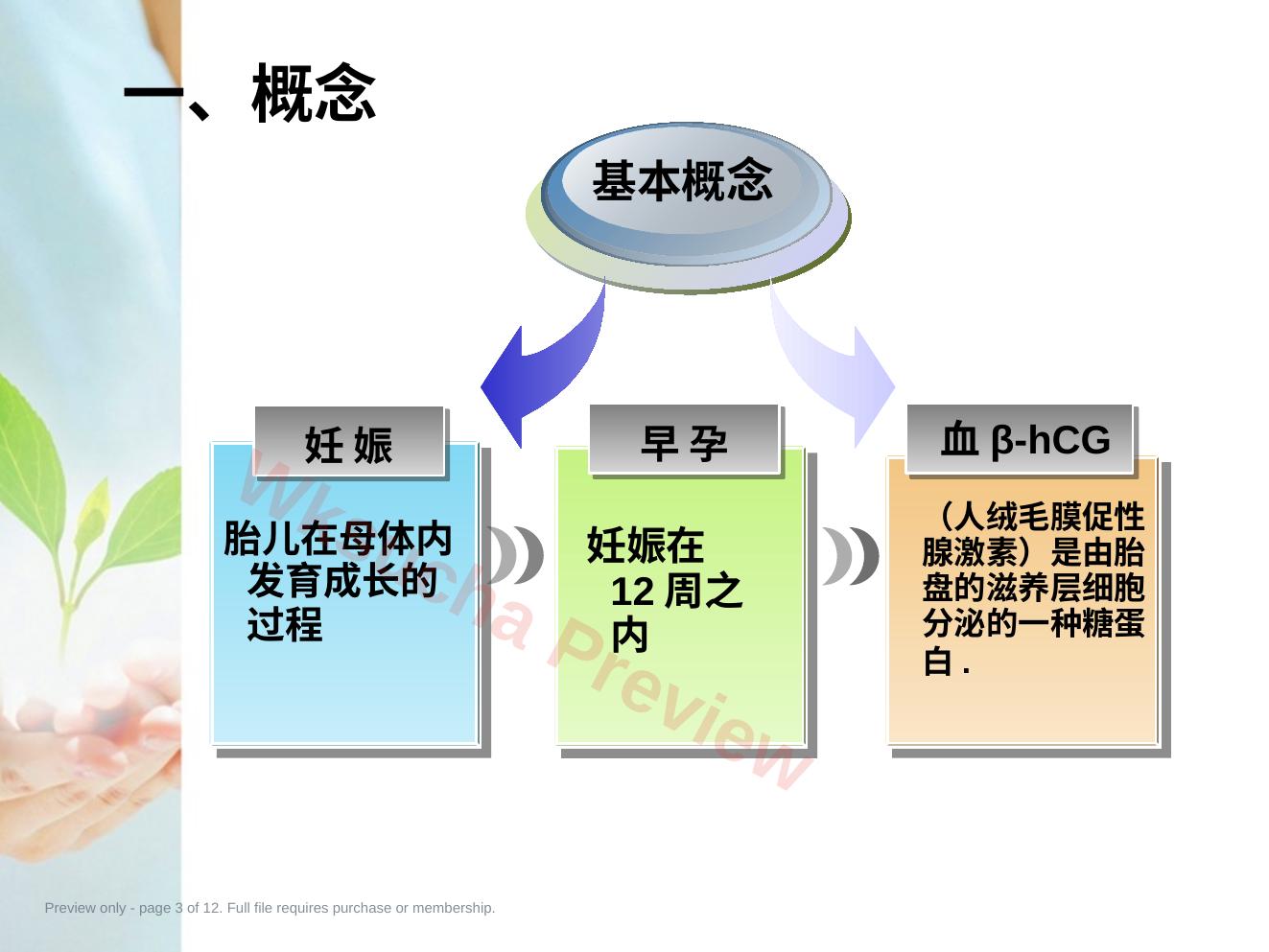 预览第 3 页