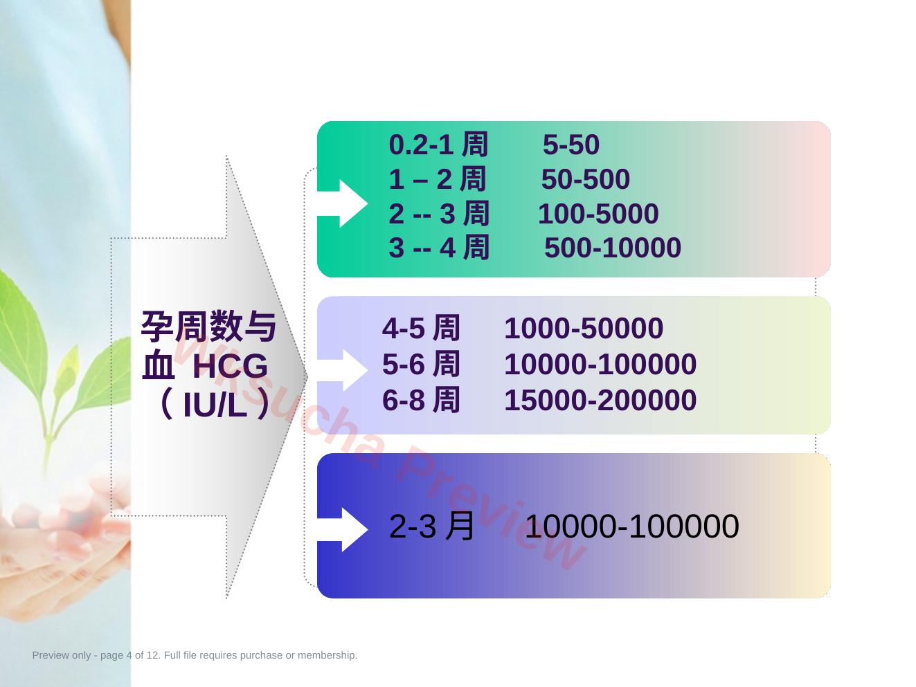 预览第 4 页