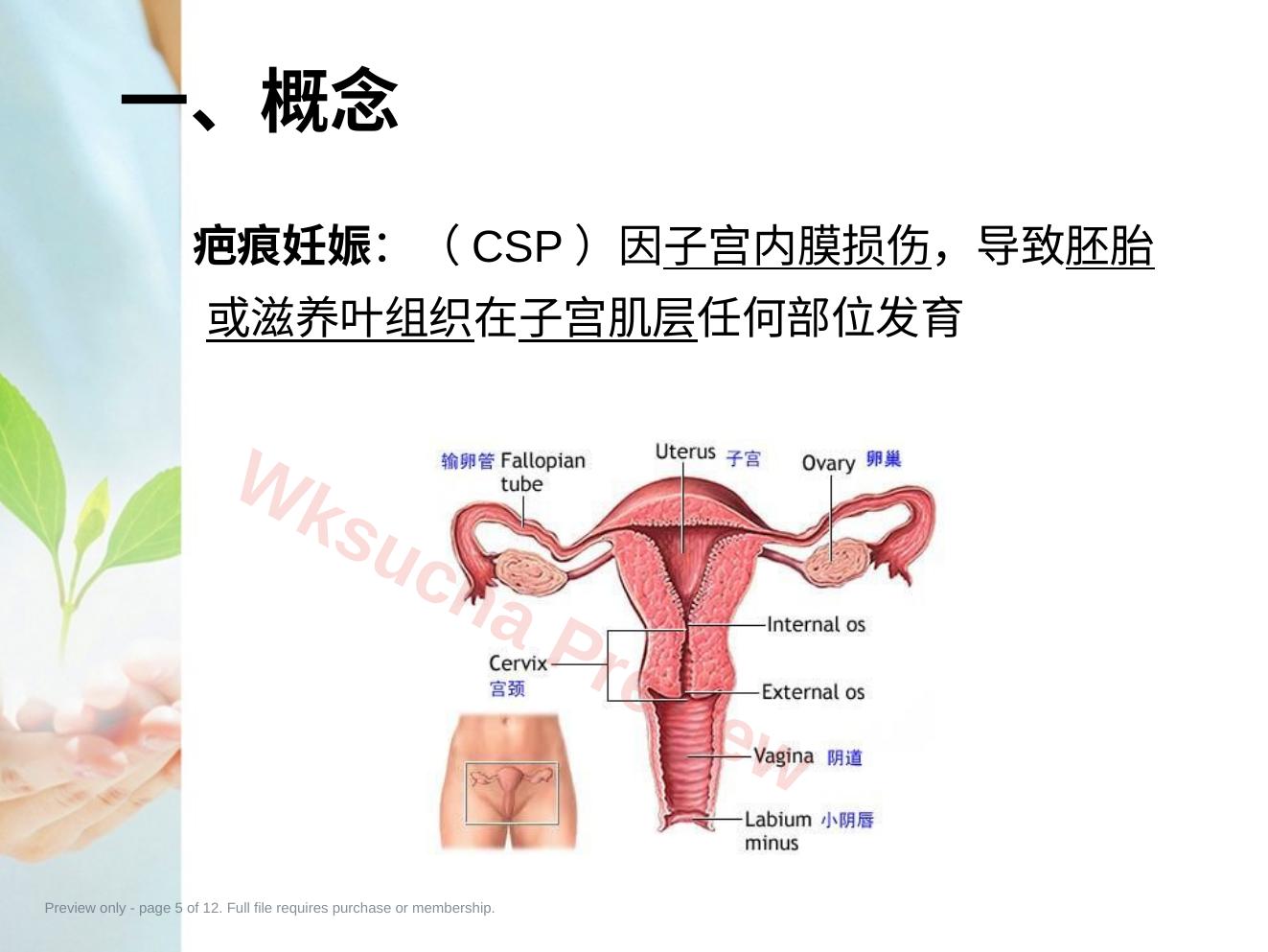 预览第 5 页