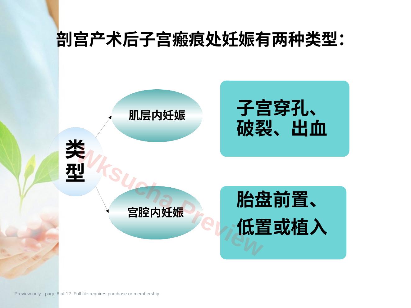 预览第 8 页