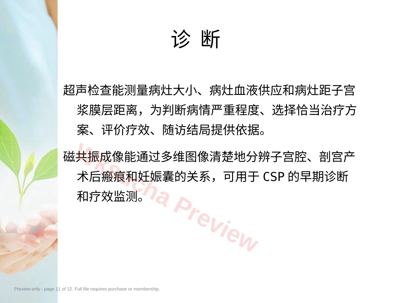预览第 11 页