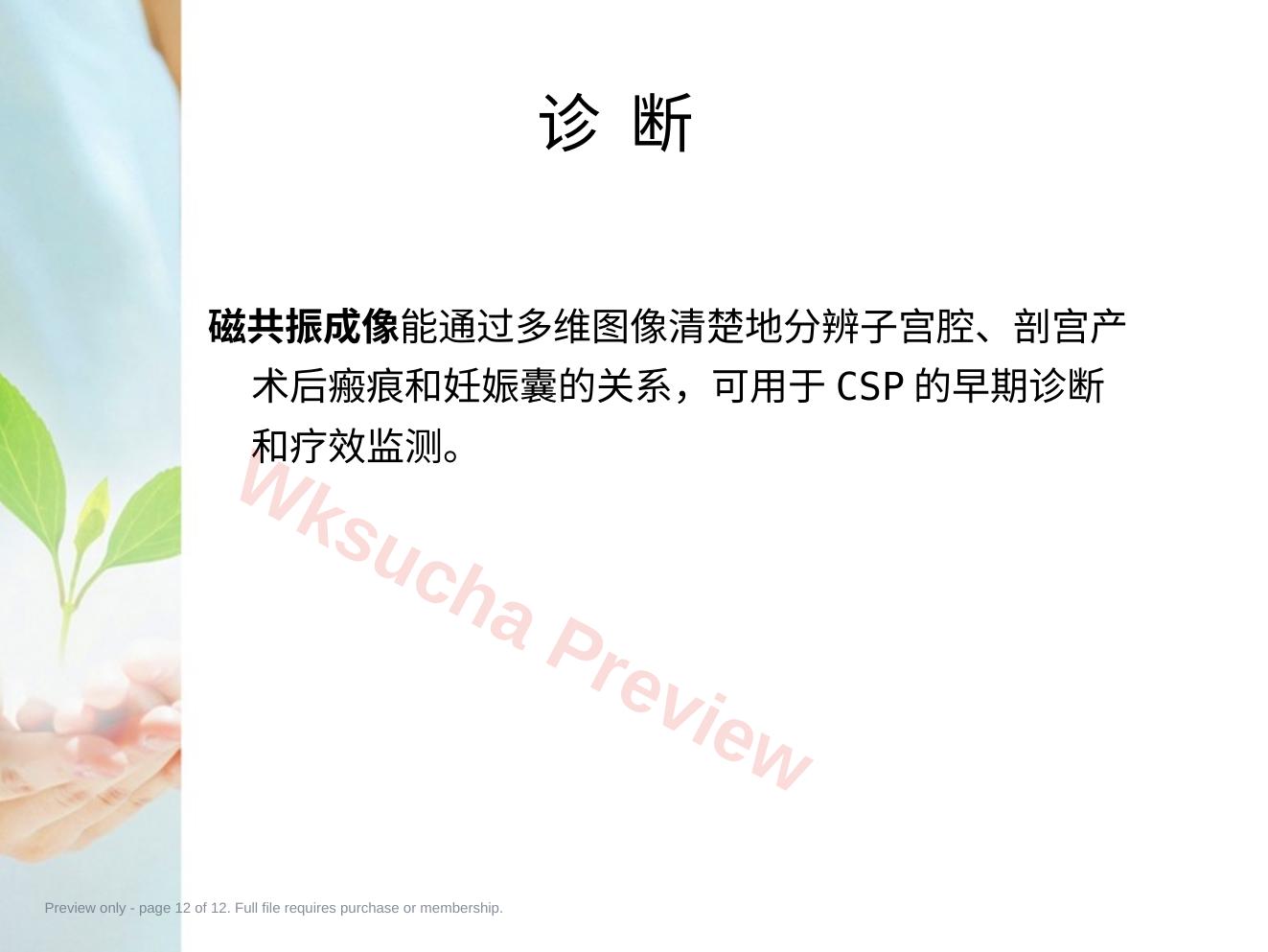 预览第 12 页