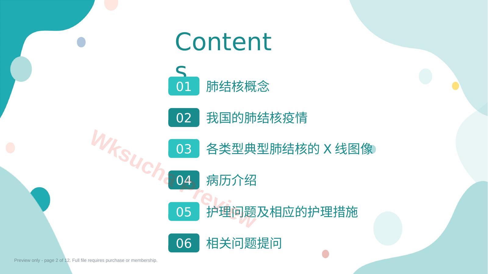 预览第 2 页