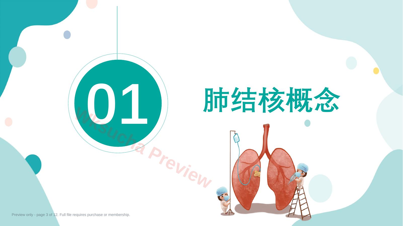 预览第 3 页