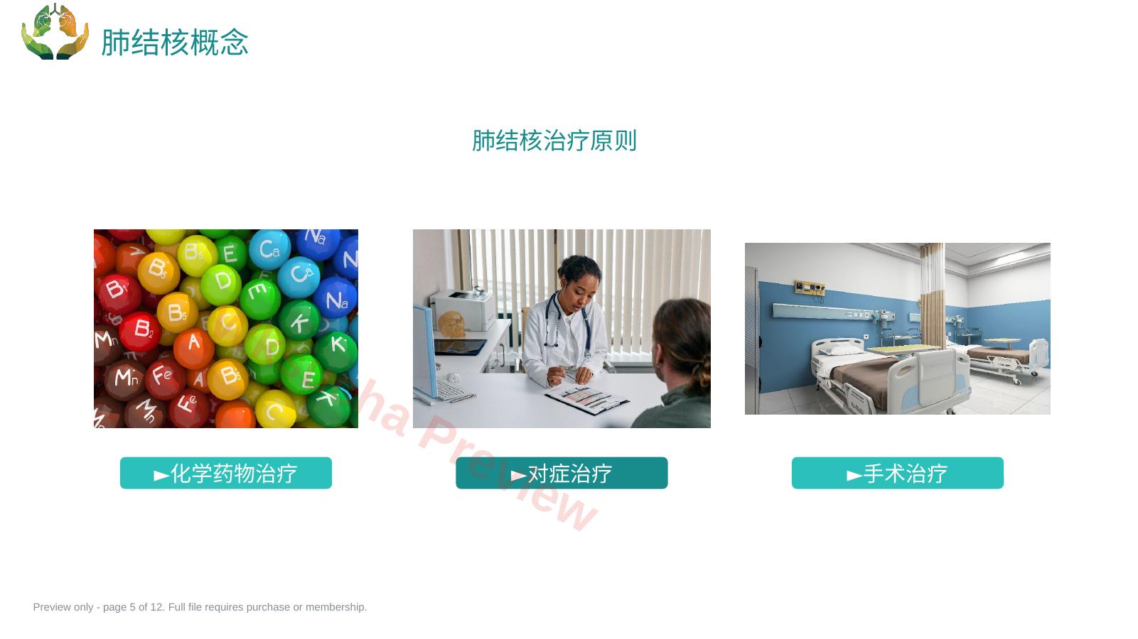 预览第 5 页