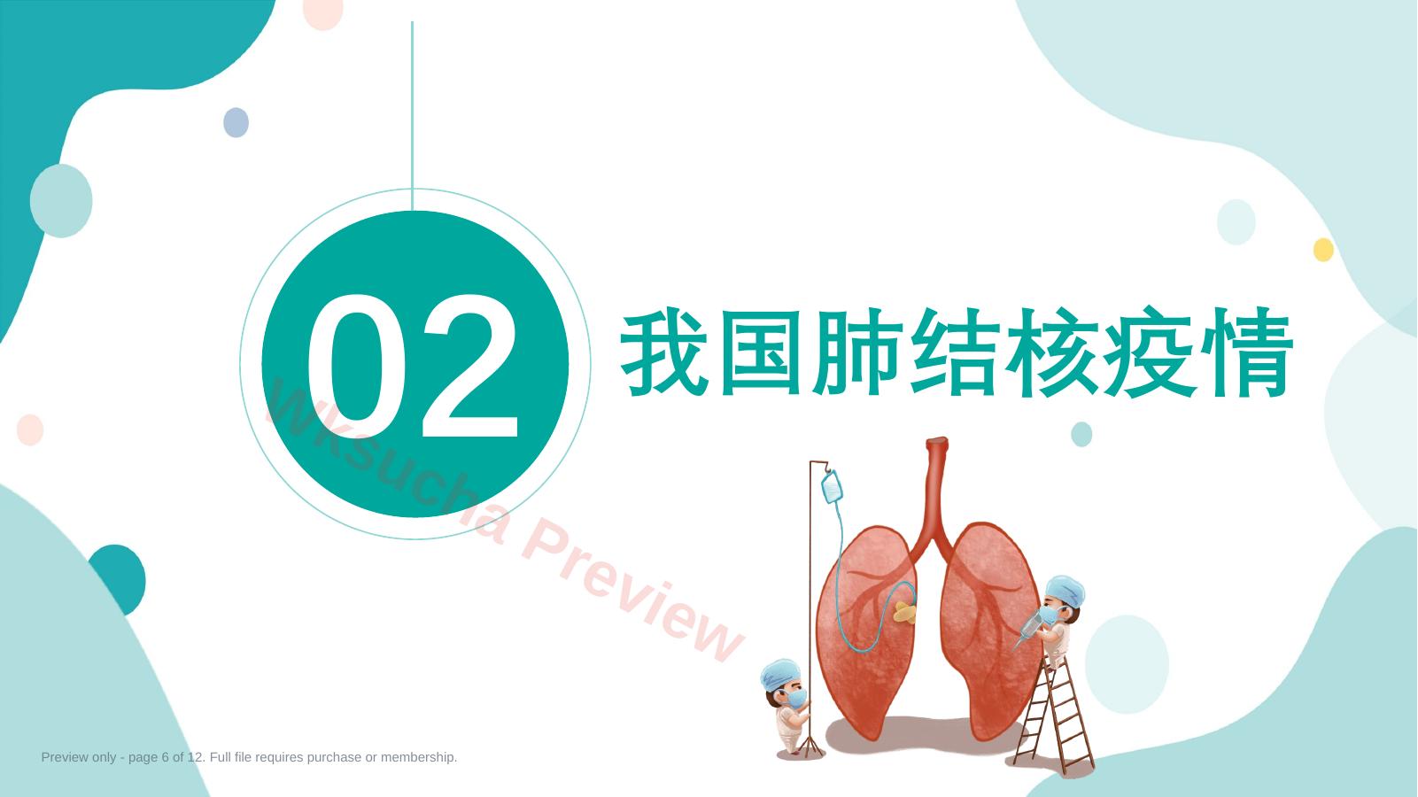 预览第 6 页
