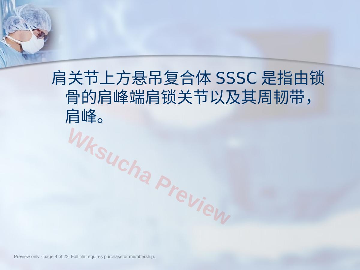预览第 4 页