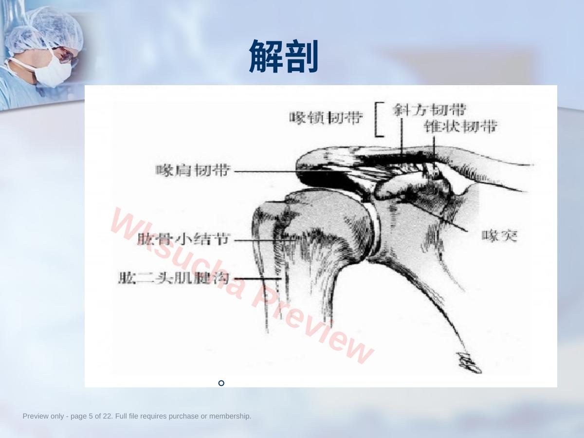 预览第 5 页