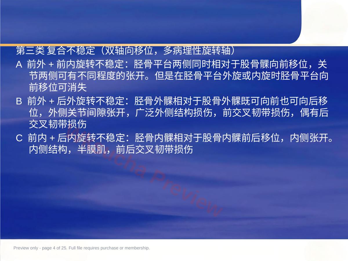 预览第 4 页